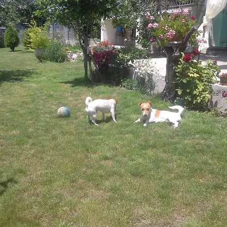 Stai Za Gosti Bazdarovi