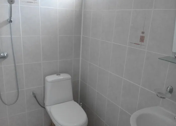 Stai Za Gosti Bazdarovi 아파트 비알라